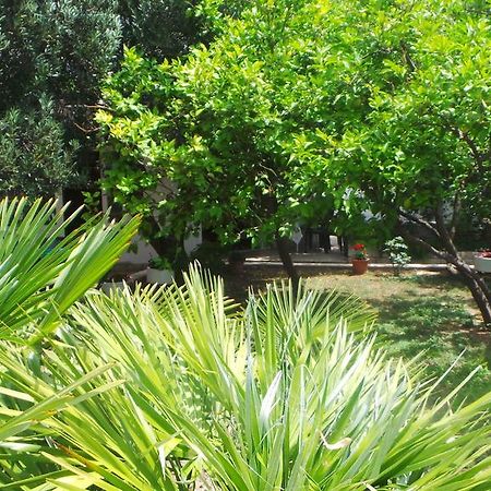 Pension Vice Gradac  Luaran gambar