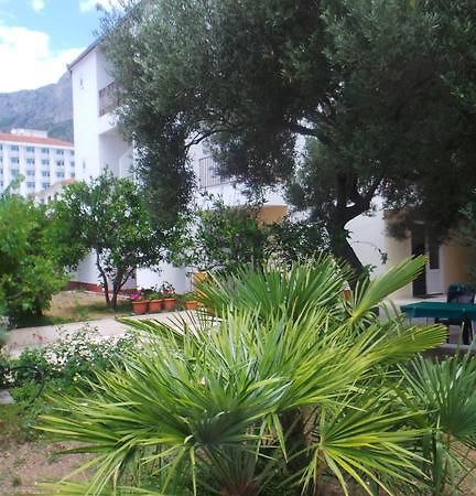 Pension Vice Gradac  Luaran gambar