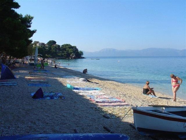 Pension Vice Gradac  Luaran gambar