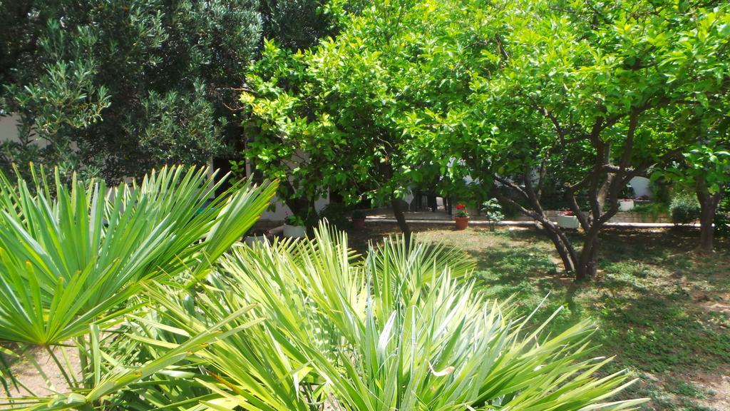 Pension Vice Gradac  Luaran gambar