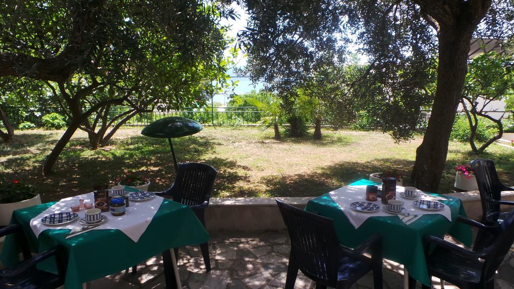 Pension Vice Gradac  Luaran gambar
