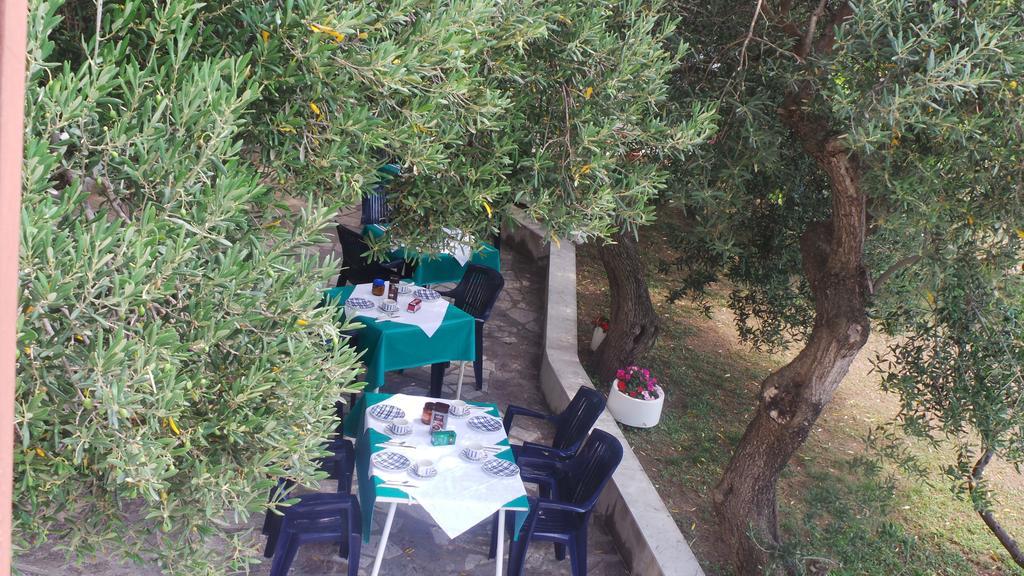 Pension Vice Gradac  Luaran gambar